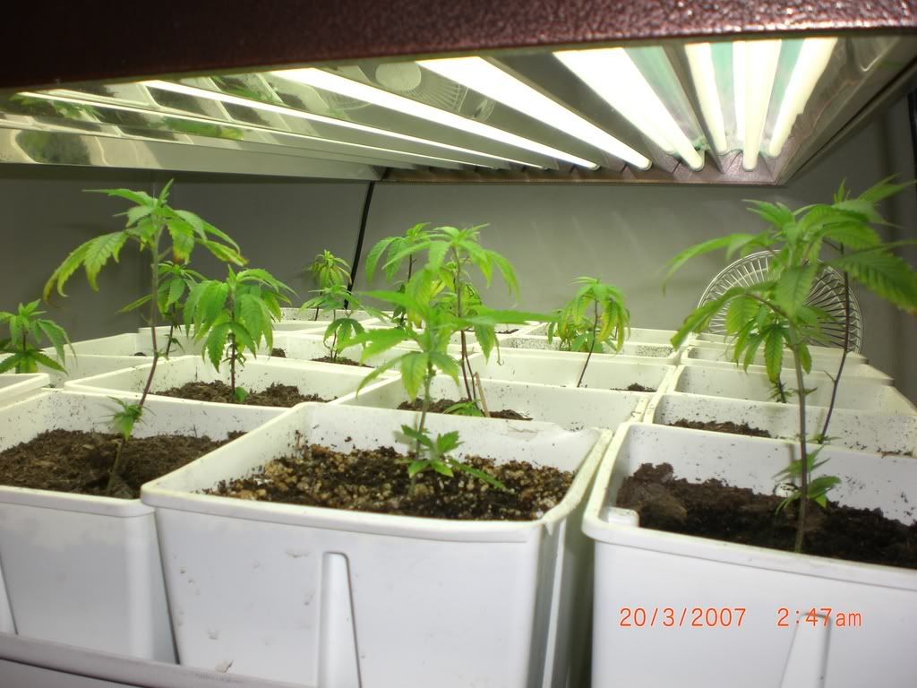 day20-6.jpg