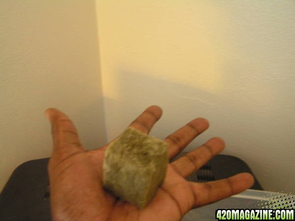 Germination_Step_3a1.JPG