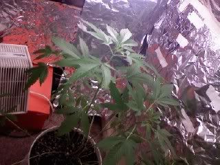 0908081532.jpg