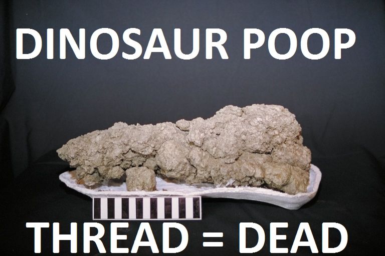 dinopoop.jpg