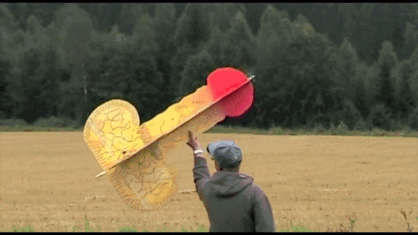 giphy.gif