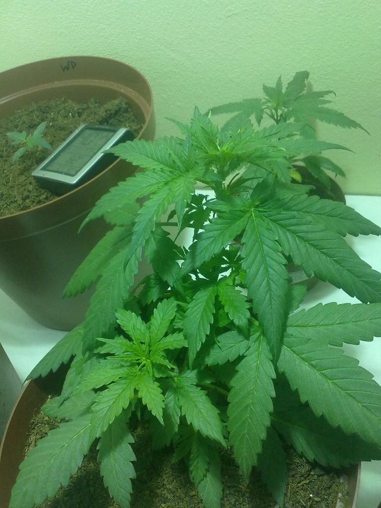 03072012543.jpg