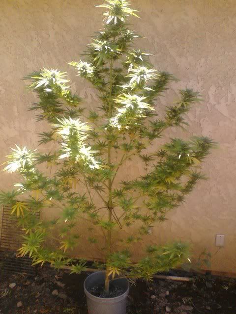 0902001300.jpg