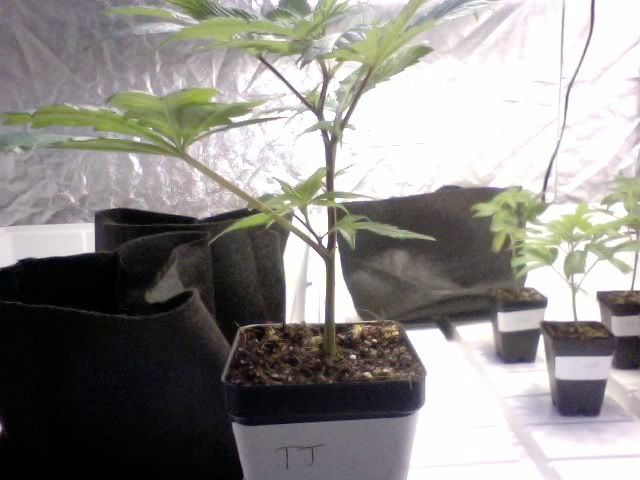 Photo2-1.jpg