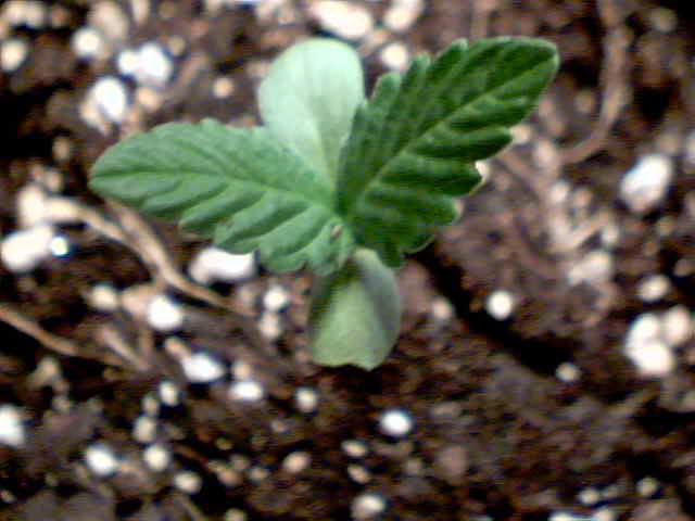 2010-06-1509-24-17781.jpg