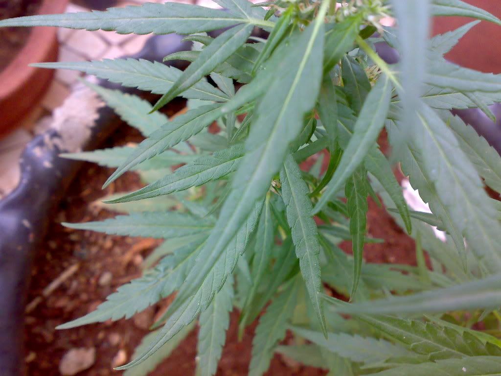 26022009641.jpg