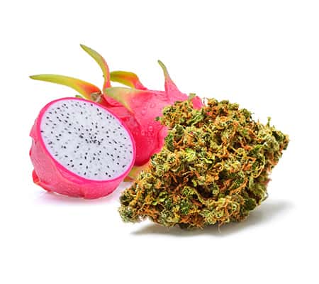wol_add_pic_dragon_fruit.jpg