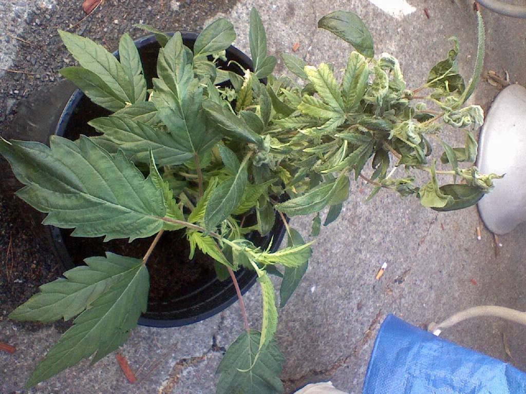 0520081642.jpg