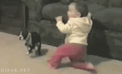 giphy.gif