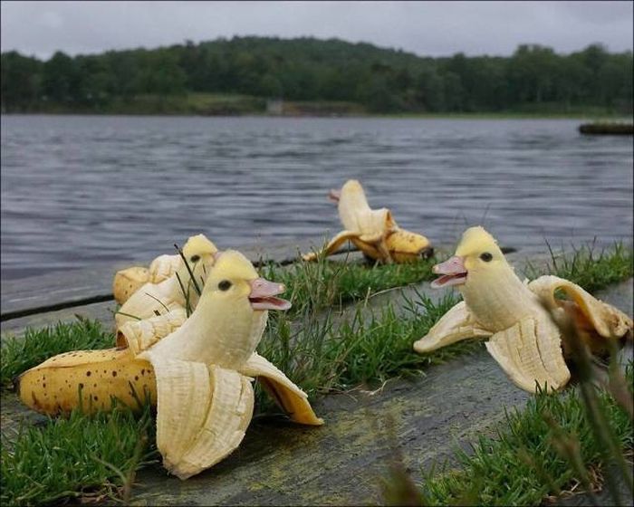 acid_picdump_20.jpg