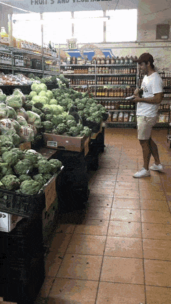 gifs_19.gif