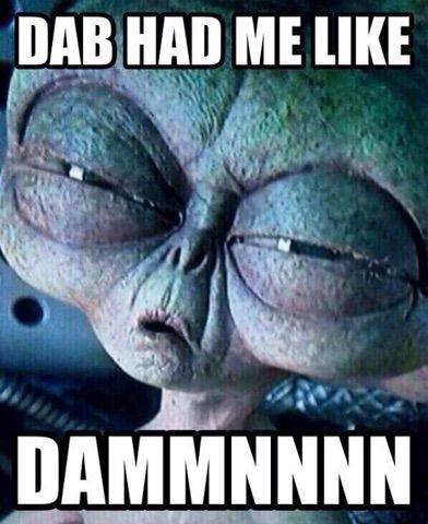 265985fcc04558c17d29c688538e9dc3--weed-memes-the-morning.jpg
