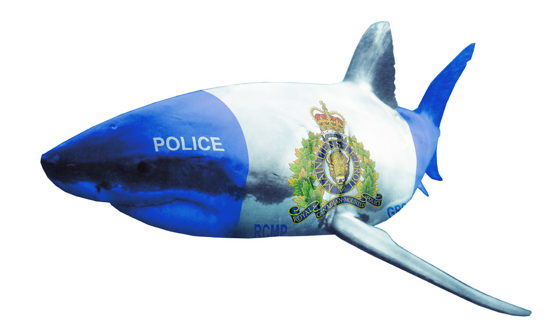police_shark.jpg