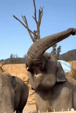 1674764490_16.gif
