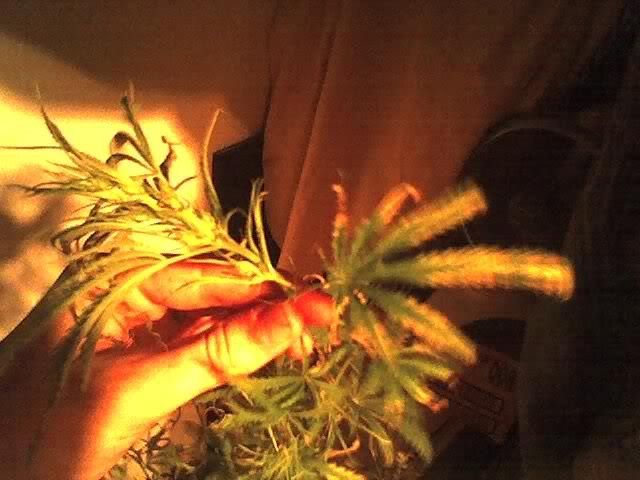 08-28-08_0205.jpg