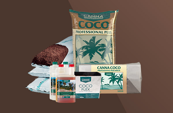 www.canna.ca