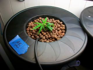 100_1024.jpg