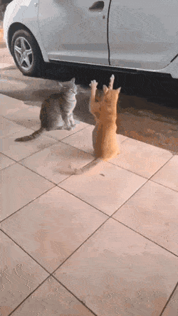 1663504969_22.gif