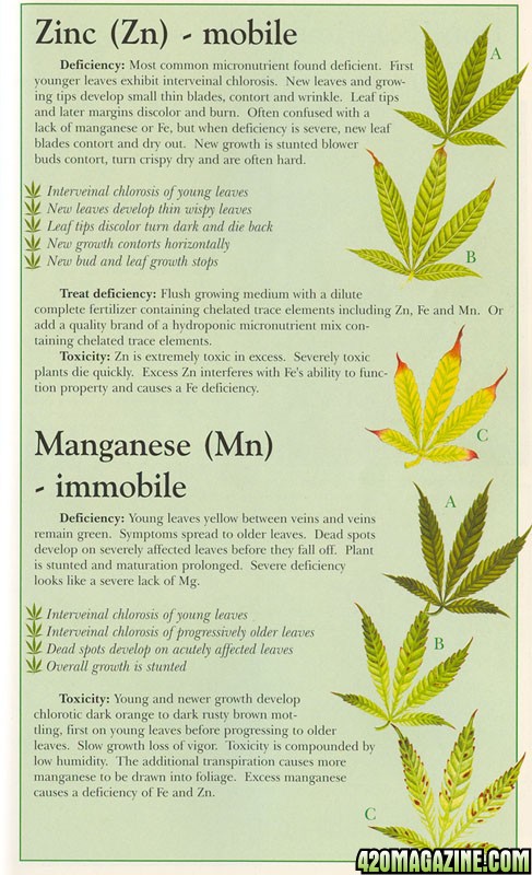 marijuana deficiency chart