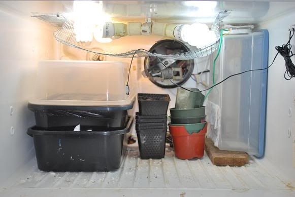 fridgeupper-1.jpg