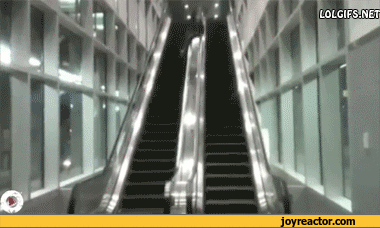 gif-escalator-fail-814073.gif
