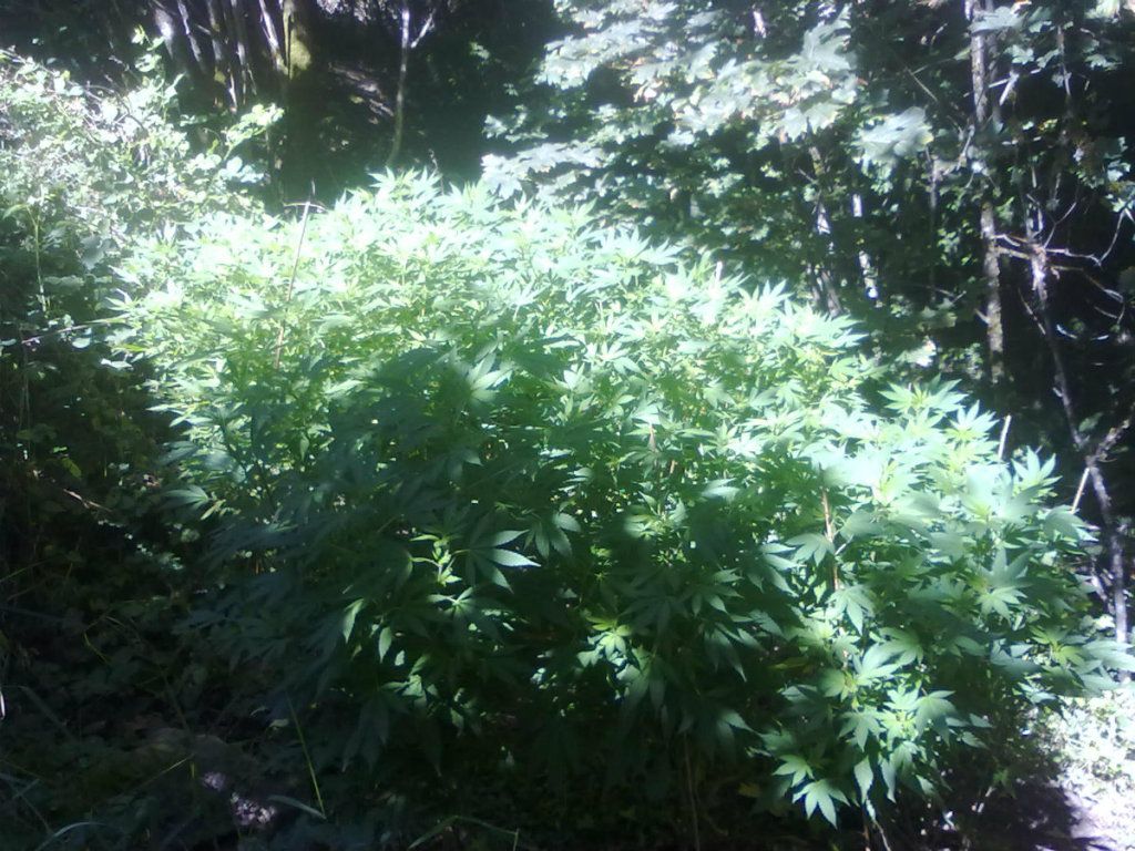 8-25-20121.jpg