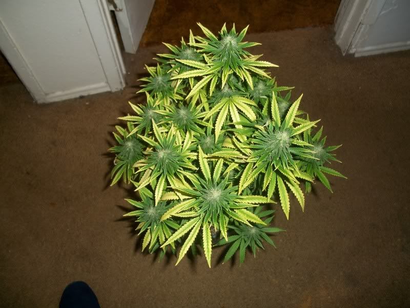 100_1002.jpg