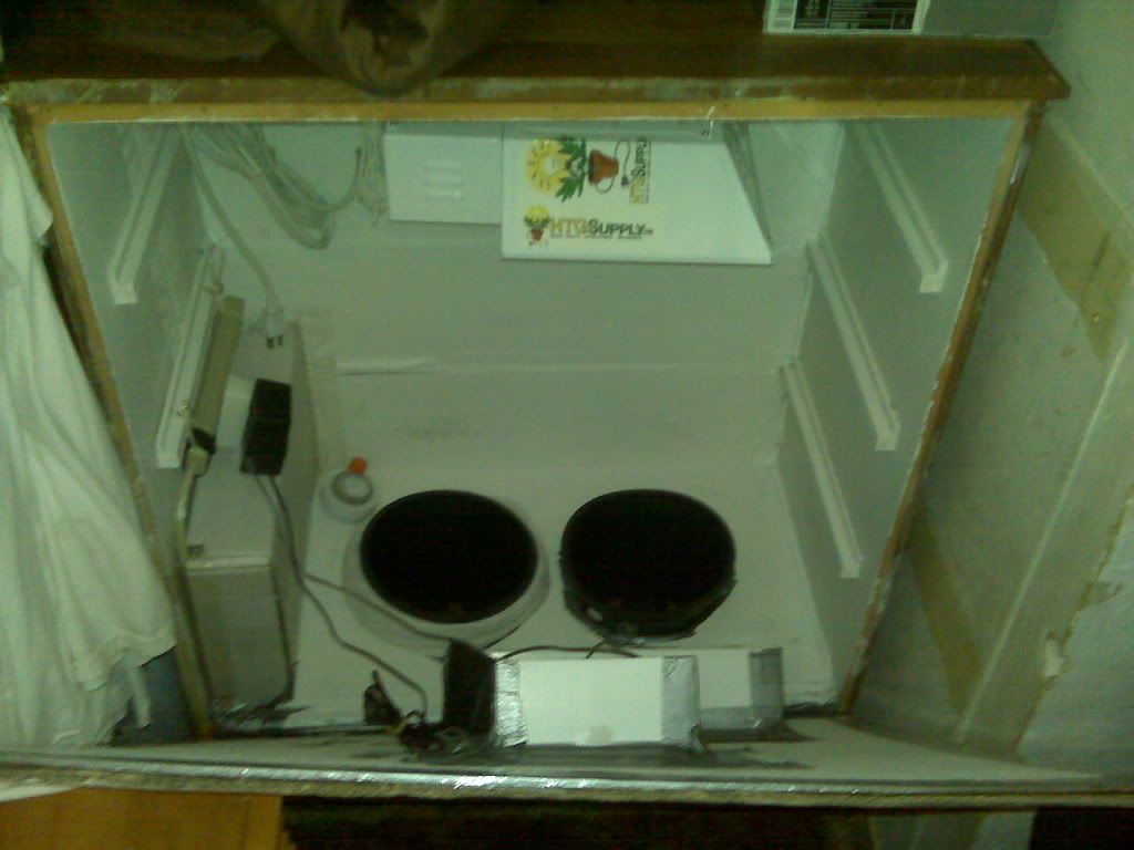 IMG00130.jpg