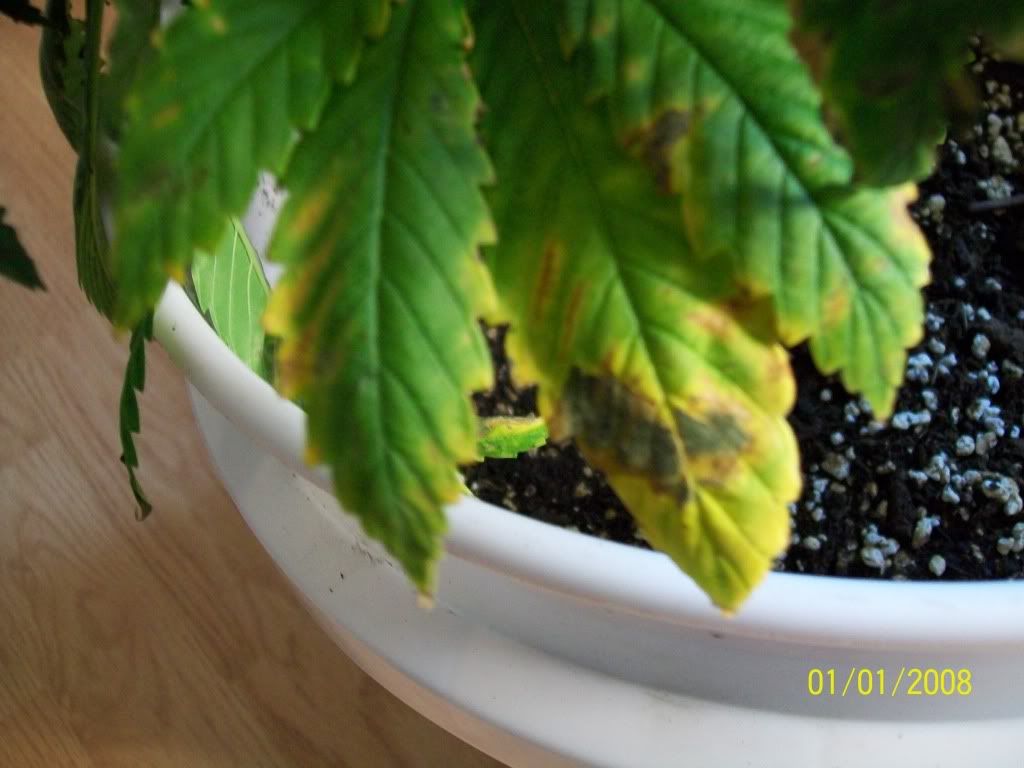 Photo005.jpg