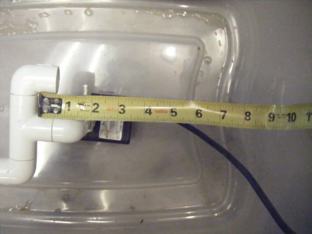 DSCF1703.jpg
