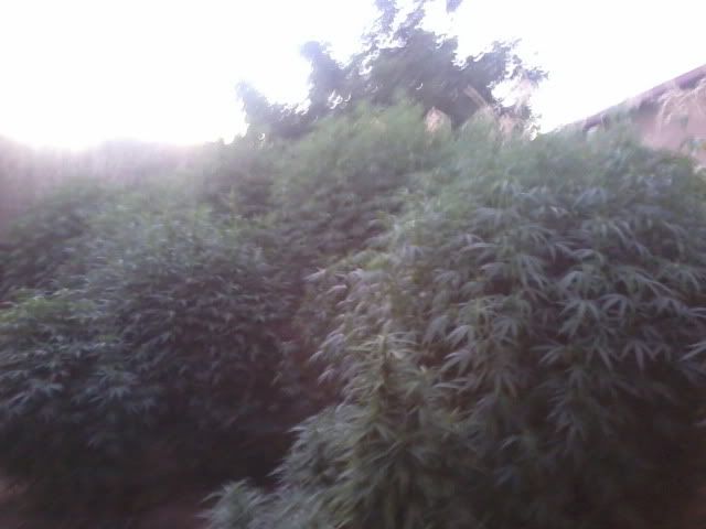 120726_004.jpg