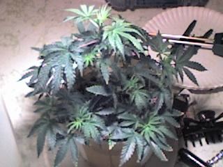 09-18-07_1627.jpg