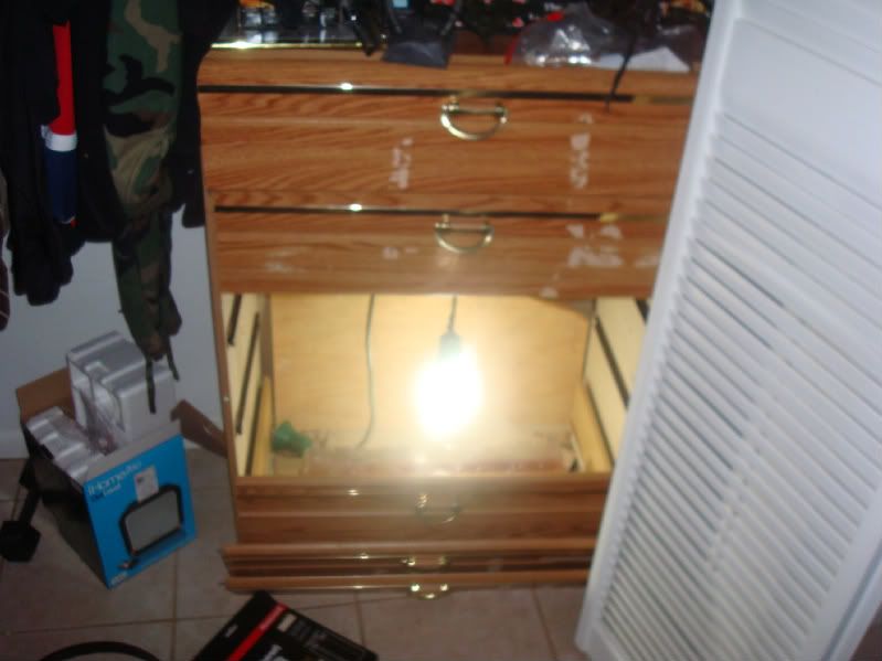 150w Hps Micro Grow Stealth Dresser Grow Pc Veg Chamber Pics