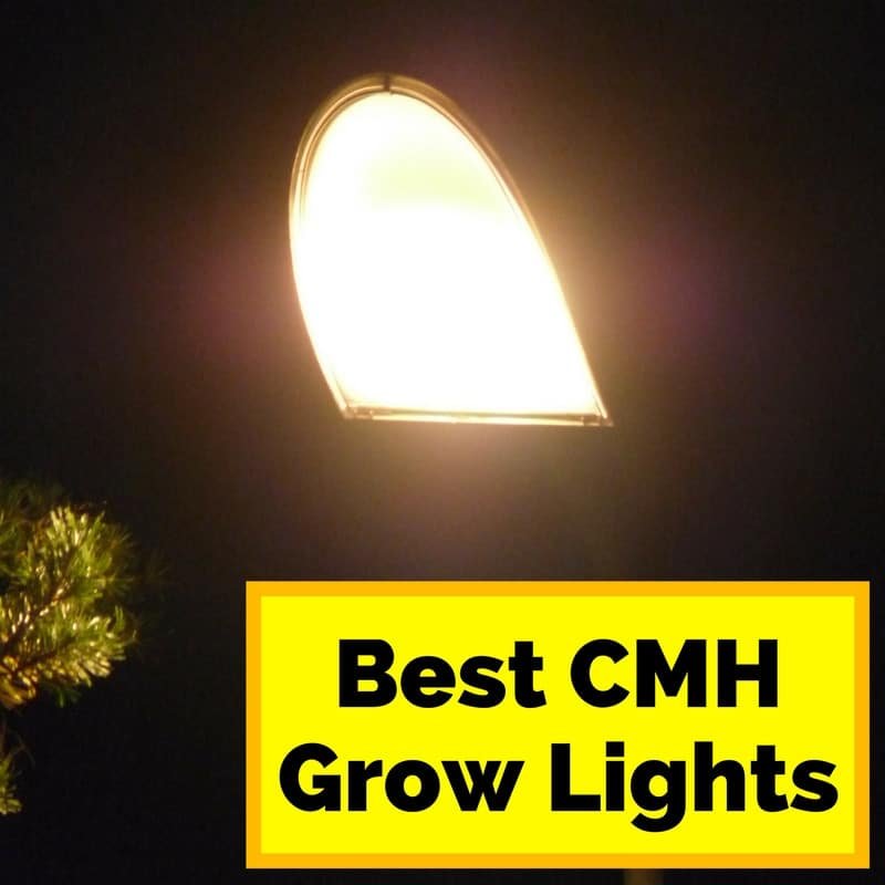 growlightinfo.com