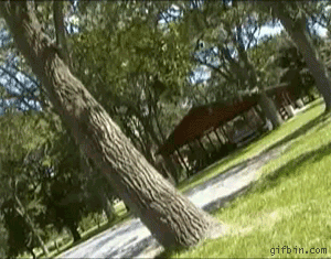 gifs_03.gif