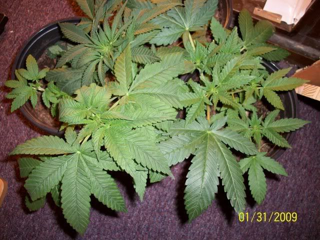 101_0044.jpg