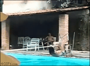 1662016930_8.gif