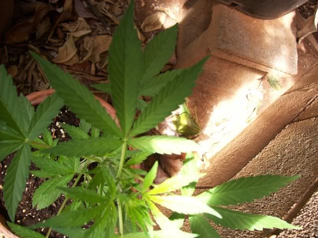 100_08501.jpg