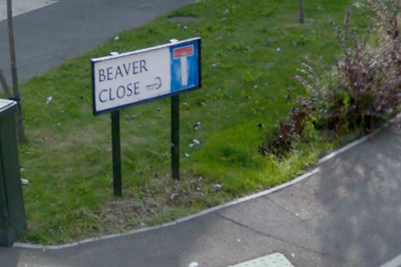 Beaver%20Lane