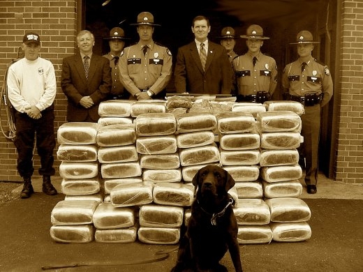marijuana_bustsepia_1.jpg