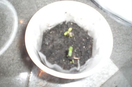 Photo2.jpg