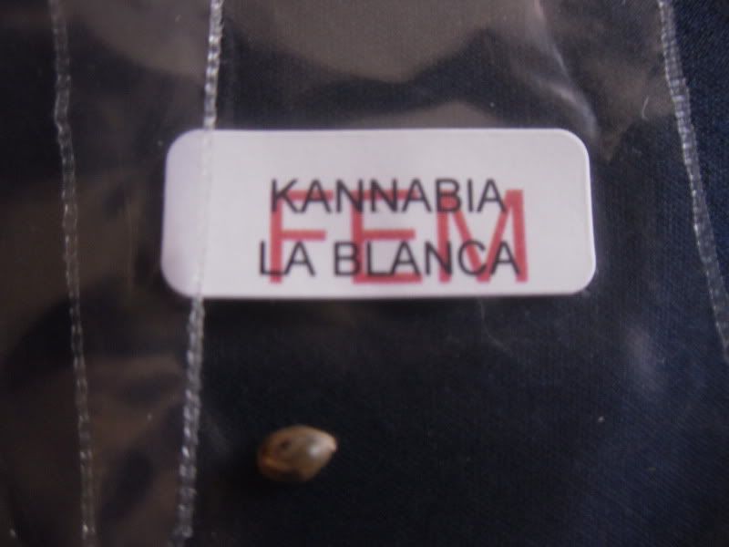SDC10400.jpg