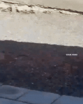 1659469405_17.gif