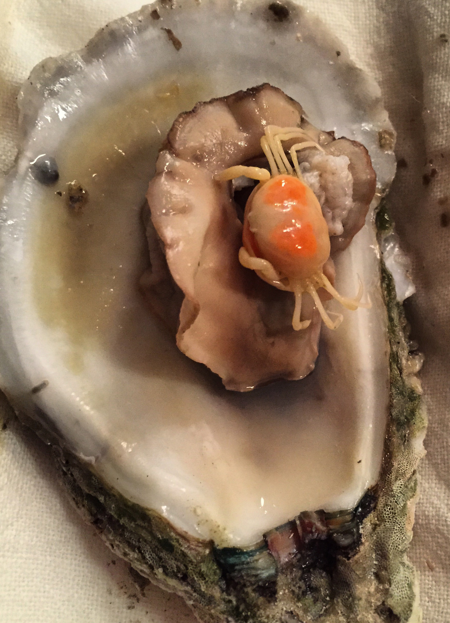 pea-crab-1.jpg