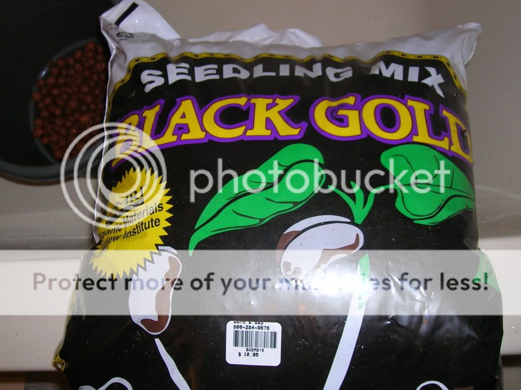 DSCN0107.jpg