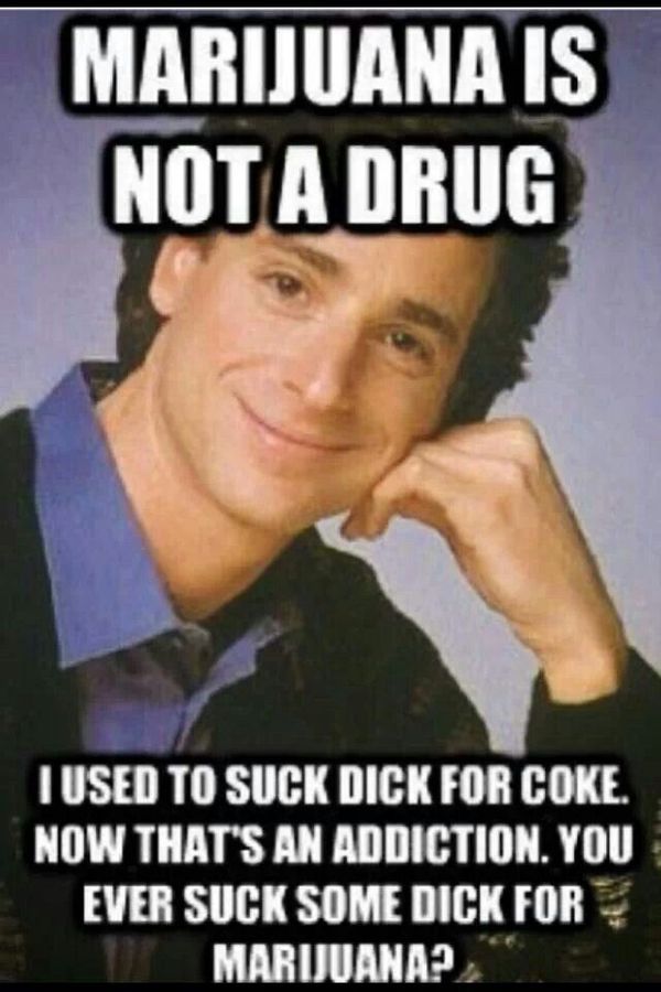 pothead-meme-2.jpg