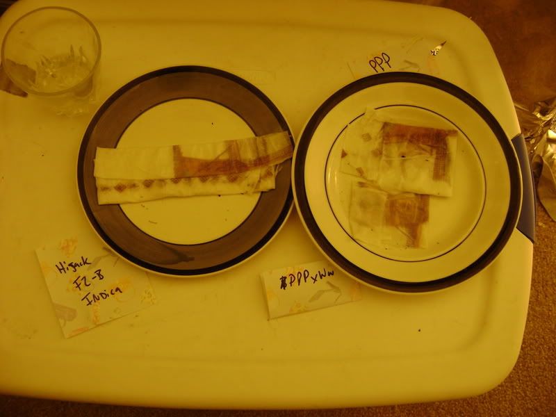 Picture024-9.jpg