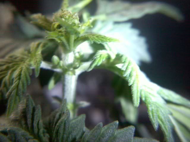 20120114135122.jpg