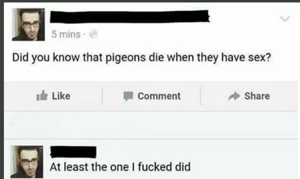 85303721.jpg