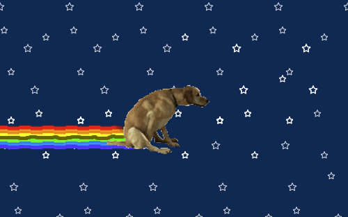 tumblr_ndjjs0itSQ1rmin5no1_500.gif